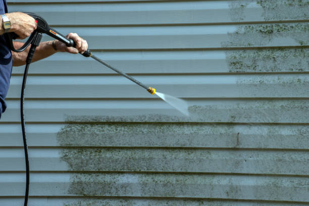 Animal Enclosure Cleaning in Combee Settlement, FL